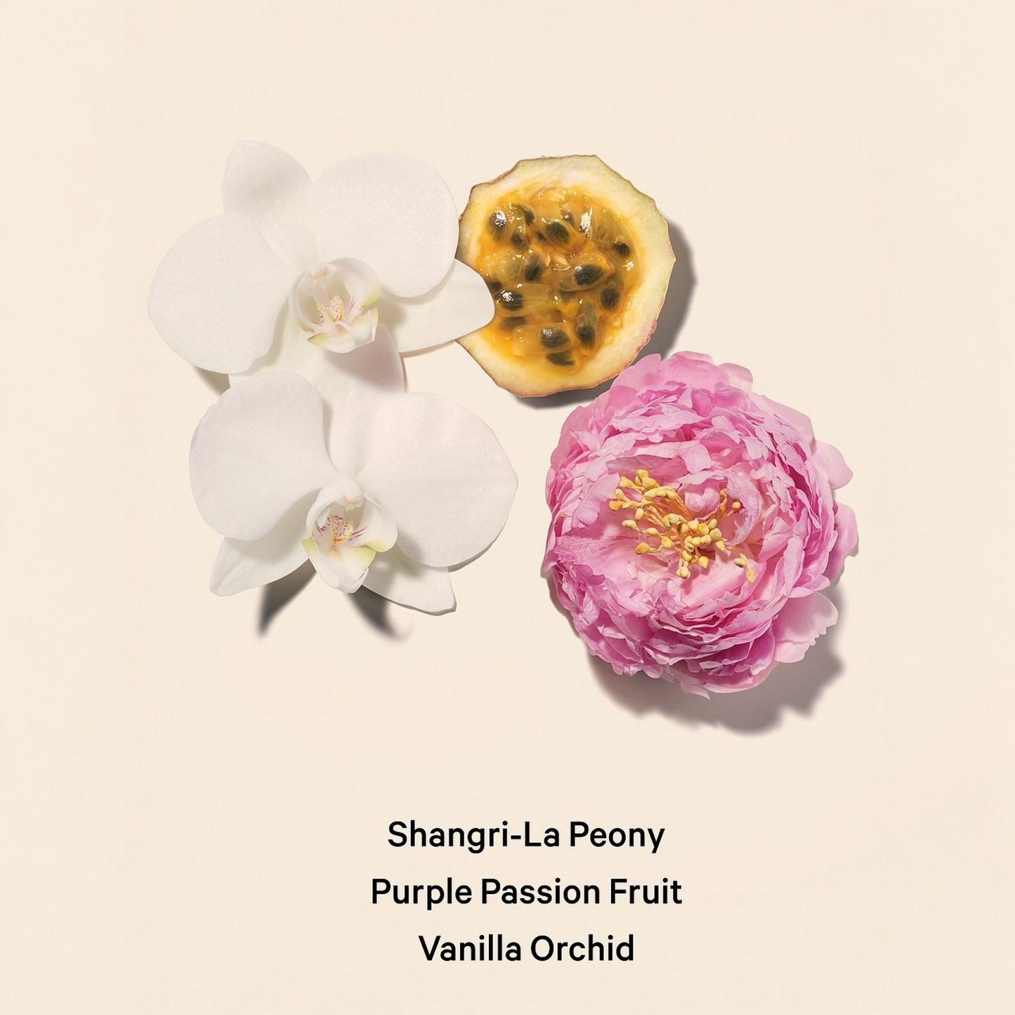 Victoria’s Secret Bombshell Bruma y Loción Set