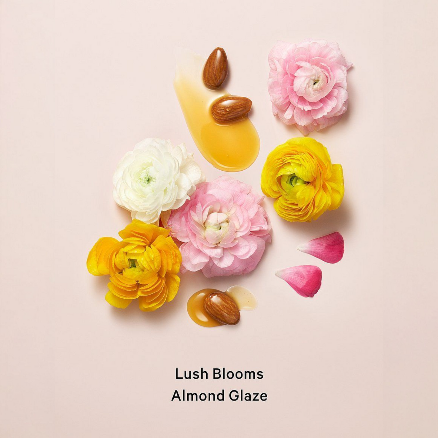 Velvet Petals Shimmer Set