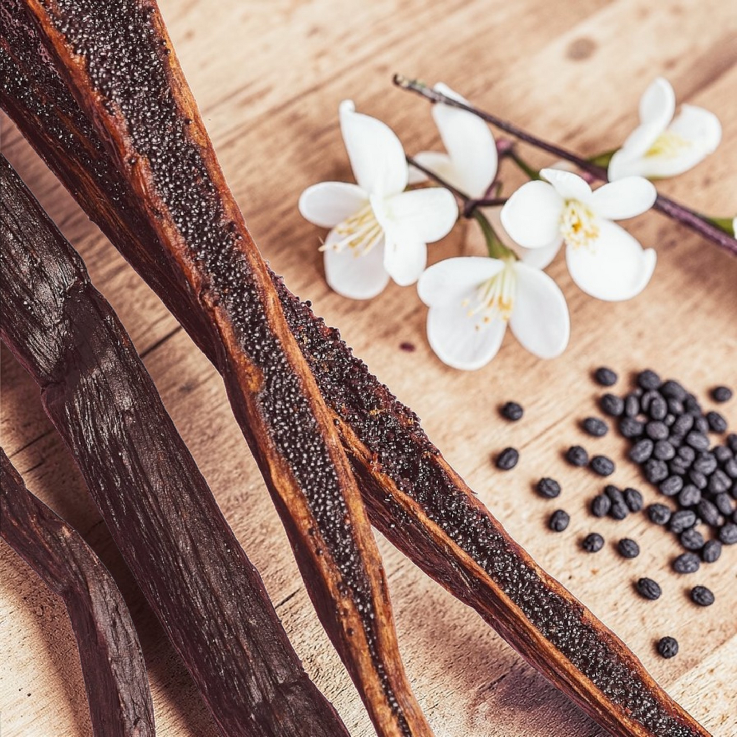 Victoria's Secret PINK Vanilla 4-Piece Set – Hair & Body Mist, Body Lotion, Body Oil & Mini Cream